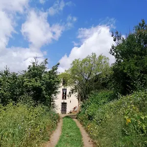 La Peonia In Montagna Prato Panorama Stupendo Sardegna Seùlo